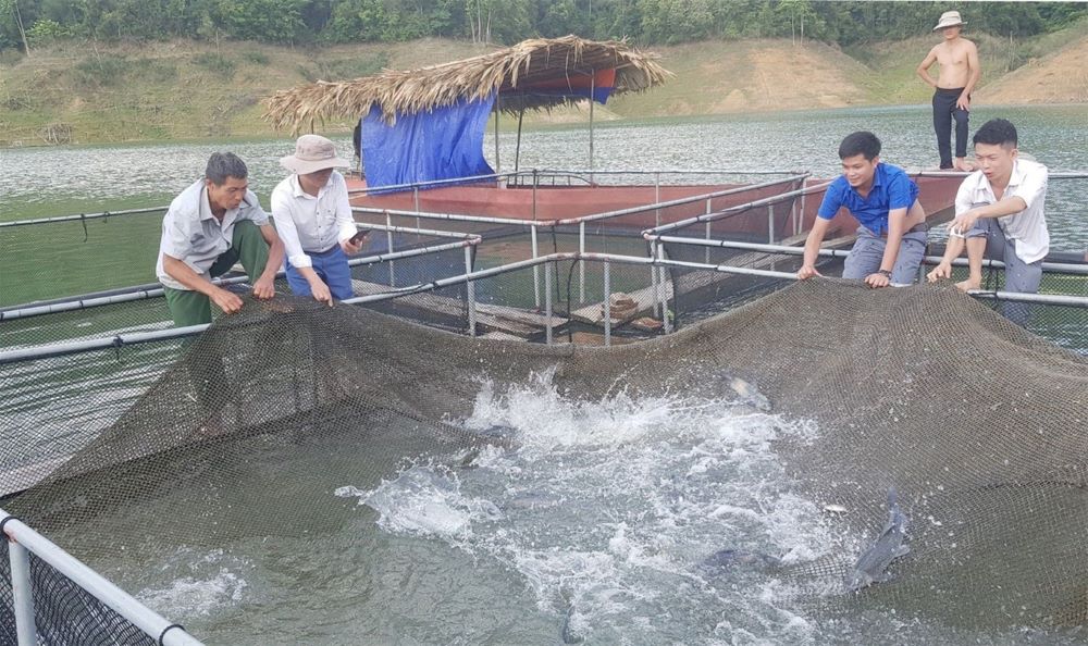 Nghệ An: Đẩy mạnh phát triển mô hình kinh tế tập thể vùng đồng bào dân tộc thiểu số 1