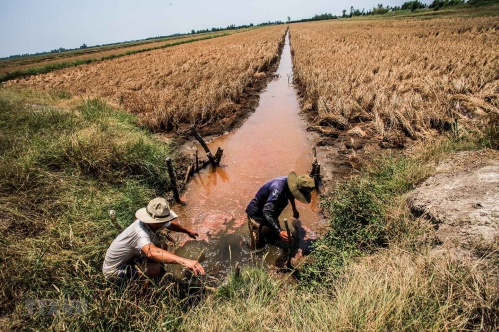 Nông nghiệp Việt Nam thích ứng với biến đổi khí hậu 1