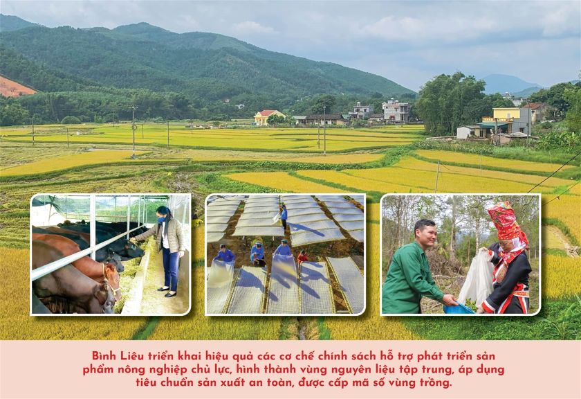 Huyện vùng cao biên giới Bình Liêu - Hành trình vượt khó xây dựng thành công Nông thôn mới 2