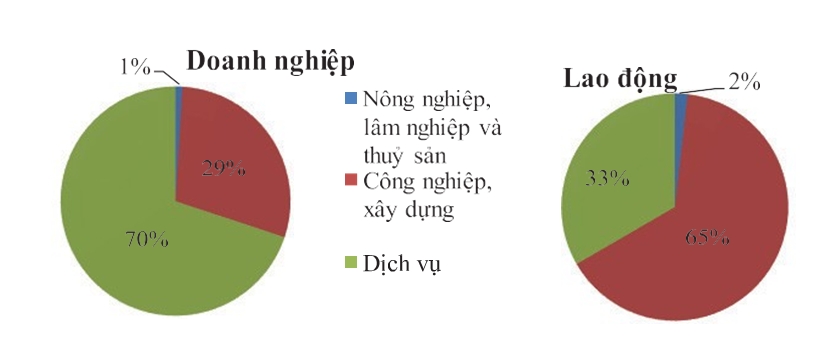 Hoạt động doanh nghiệp qua kết quả TĐT Kinh tế 2017 1
