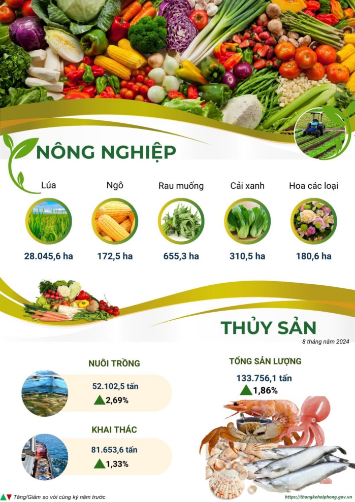 Một số chỉ tiêu kinh tế thành phố Hải Phòng 8 tháng năm 2024 1
