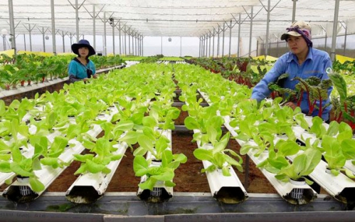 Doanh nghiệp cần trợ lực để đẩy mạnh chuyển đổi số 1