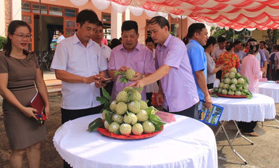 Huyện Võ Nhai: Huy động mọi nguồn lực cho đầu tư phát triển, thực hiện tốt công tác dân tộc 4