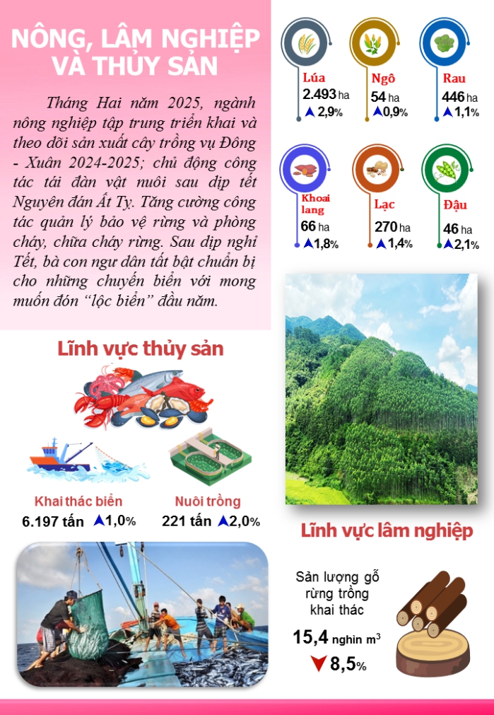 Một số chỉ tiêu kinh tế - xã hội thành phố Đà Nẵng 2 tháng năm 2025 1