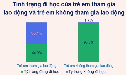 Việt Nam đạt tiến bộ đáng kể trong việc ngăn ngừa  và giảm thiểu lao động trẻ em 2