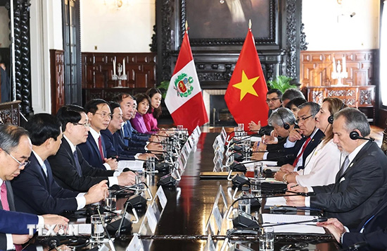 Việt Nam – Peru hướng tới đưa quan hệ lên một tầm cao mới vì sự thịnh vượng chung 1
