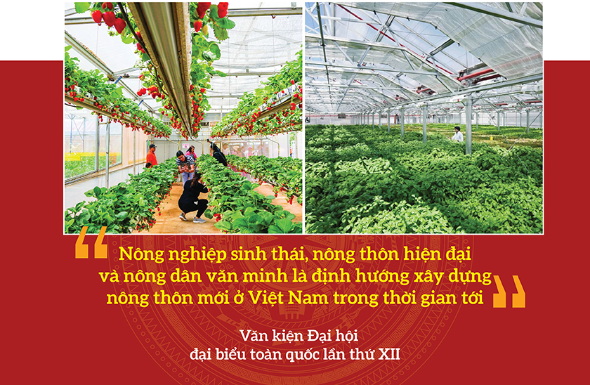 Nông nghiệp sinh thái - Dấu ấn trong xây dựng Nông thôn mới 5