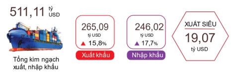 Nhiều điểm sáng trong phát triển kinh tế - xã hội  tháng Tám và 8 tháng năm 2024 5