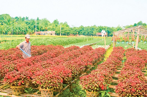 Chính sách tín dụng phát triển nông nghiệp nông thôn - Thực trạng và định hướng 1