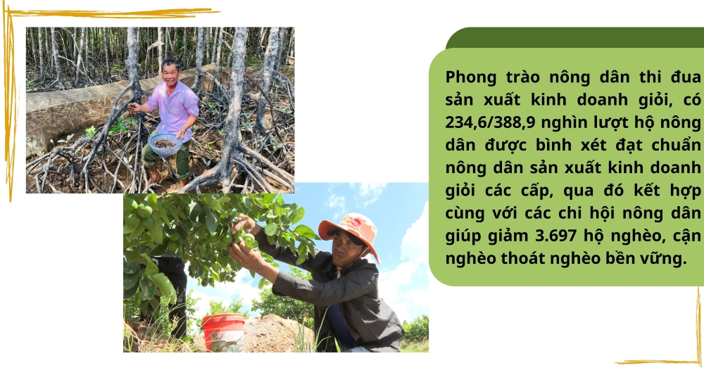 Triển khai hiệu quả các mô hình kinh tế tạo động lực về đích sớm xây dựng nông thôn mới tỉnh Trà Vinh 3