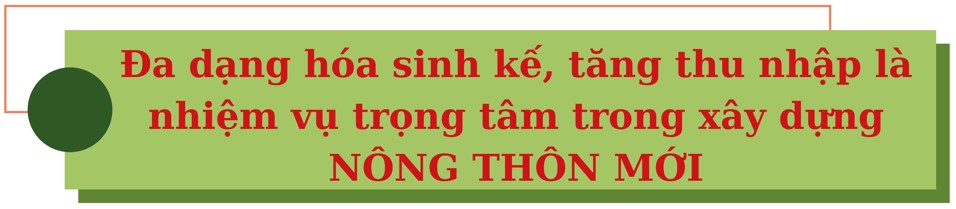 Triển khai hiệu quả các mô hình kinh tế tạo động lực về đích sớm xây dựng nông thôn mới tỉnh Trà Vinh 5