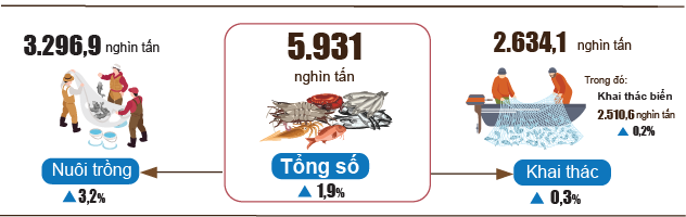 Tình hình kinh tế - xã hội tháng 8 và 8 tháng năm 2023 2