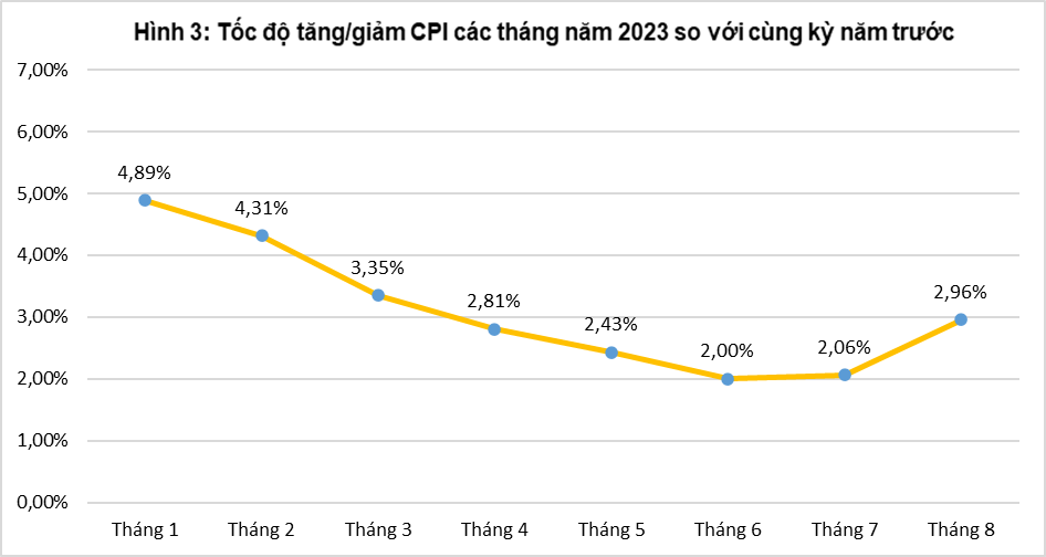 Tổng quan thị trường giá cả tháng 8 và 8 tháng năm 2023 2