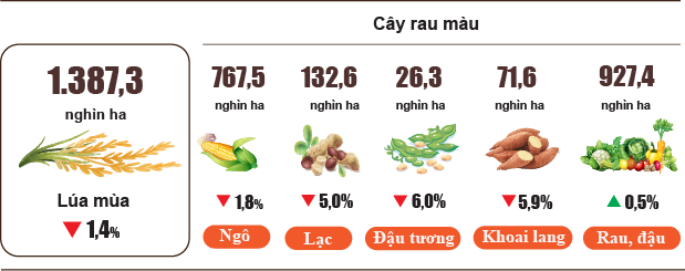 Tình hình kinh tế - xã hội tháng 8 và 8 tháng năm 2023