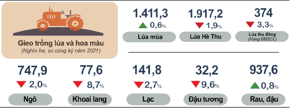 Tình hình kinh tế - xã hội tháng 8 và 8 tháng năm 2022