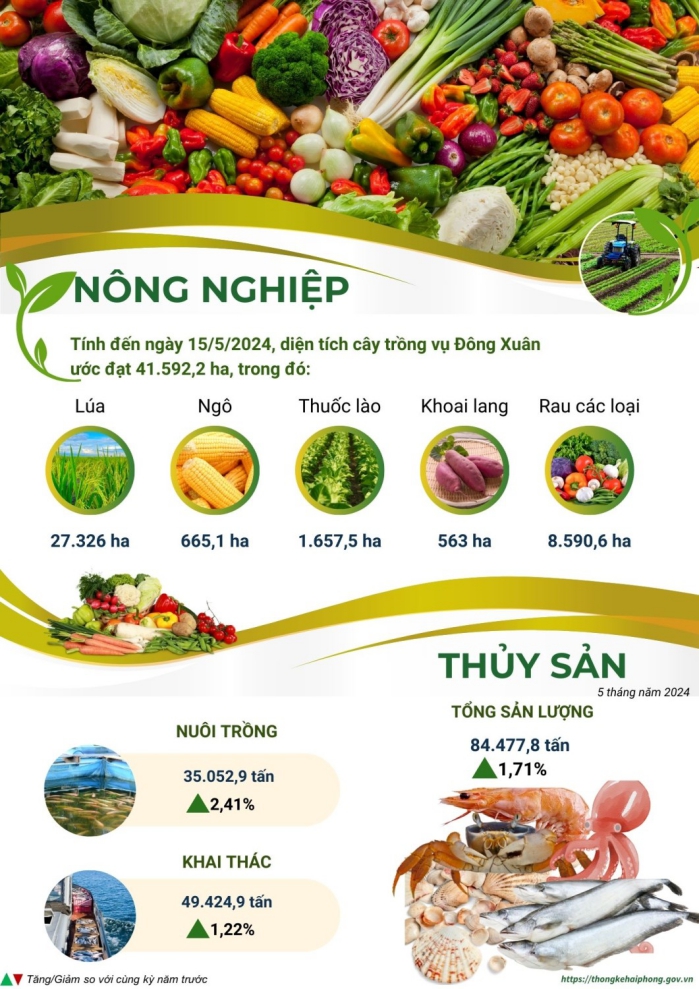 Tình hình kinh tế xã hội thành phố Hải Phòng tháng 5 và 5 tháng đầu năm 2024 4