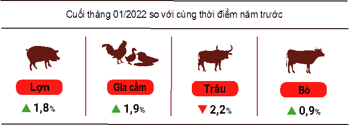 Tình hình kinh tế - xã hội tháng 01 năm 2022 1