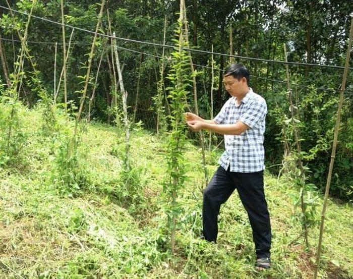 Huyện Võ Nhai: Huy động mọi nguồn lực cho đầu tư phát triển, thực hiện tốt công tác dân tộc 2