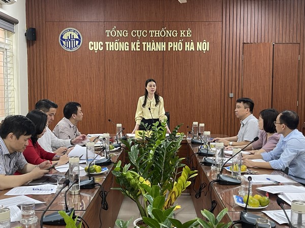 Phó Tổng cục trưởng TCTK Đỗ Thị Ngọc tham gia giám sát và làm việc với Cục Thống kê TP Hà Nội về công tác Điều tra DSGK năm 2024 1