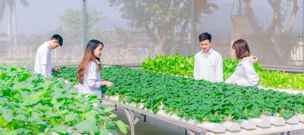Xu hướng khởi nghiệp trong nông nghiệp 1