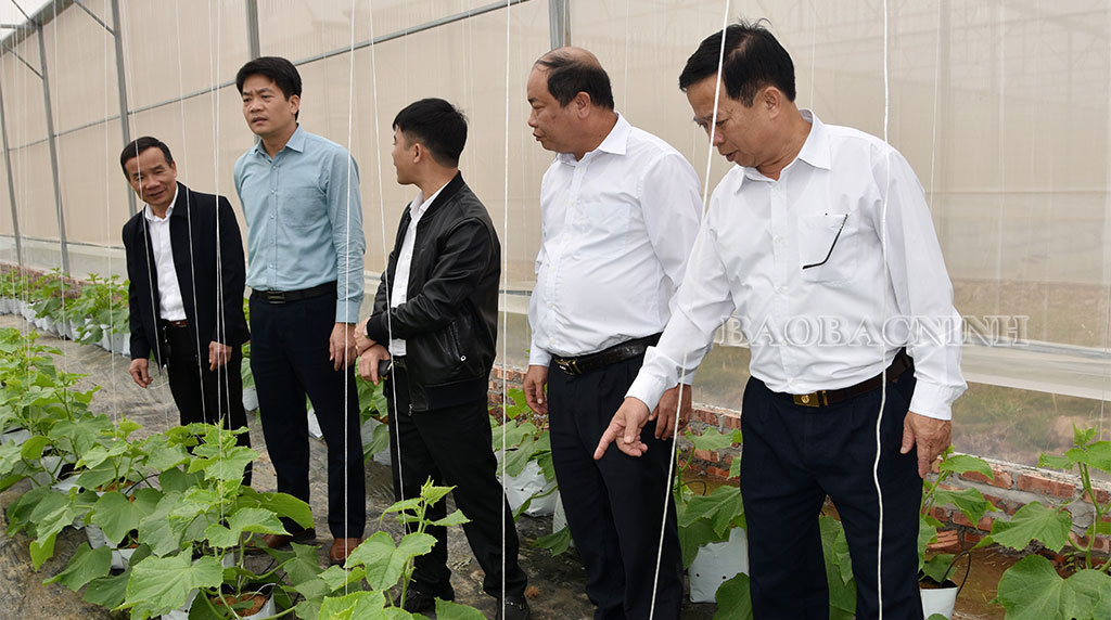 Xây dựng nông thôn mới ở Đại Lai: Khi ý Đảng thuận lòng dân 1