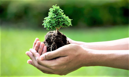 Thực trạng và giải pháp bảo vệ môi trường hiện nay 1