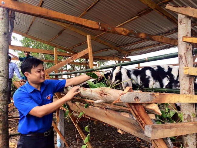 Sở Lao động, Thương binh và Xã hội tỉnh Hòa Bình: Nâng cao hiệu quả đào tạo nghề gắn với giải quyết việc làm cho người lao động 1
