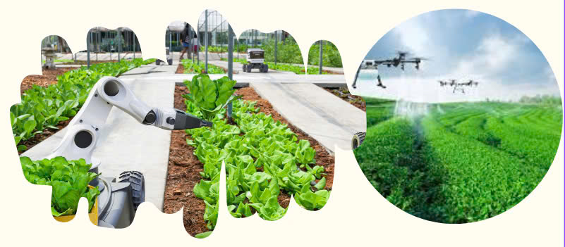Trái ngọt của hành trình xây dựng nông thôn mới chuyển từ lượng sang chất 6
