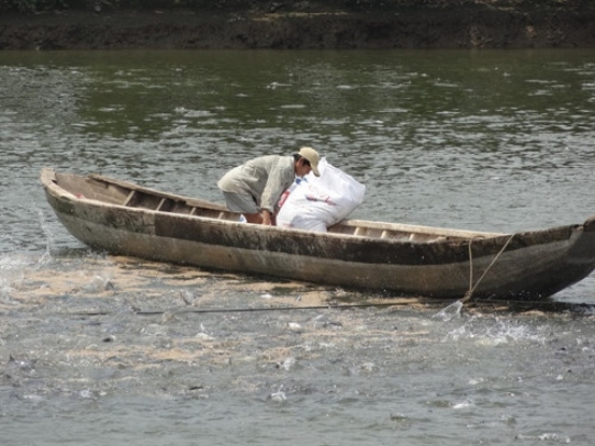 Tổng điều tra nông nghiệp, nông thôn có ý nghĩa quan trọng đối với tỉnh An Giang
