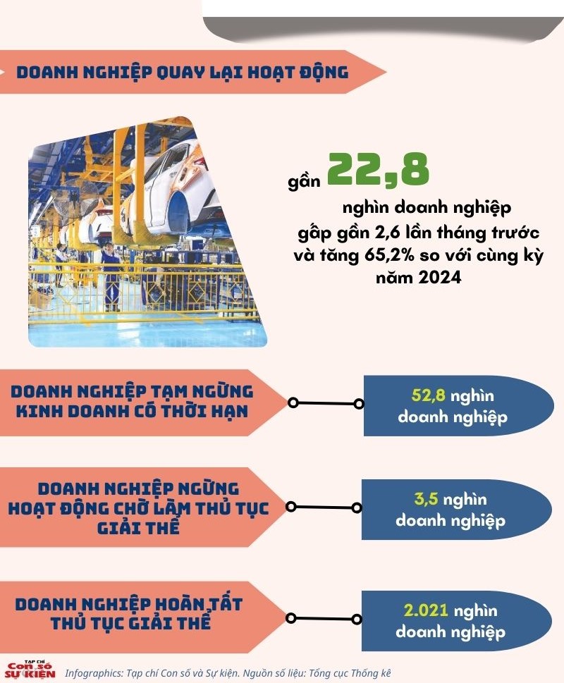 Tình hình doanh nghiệp tháng 01/2025 1