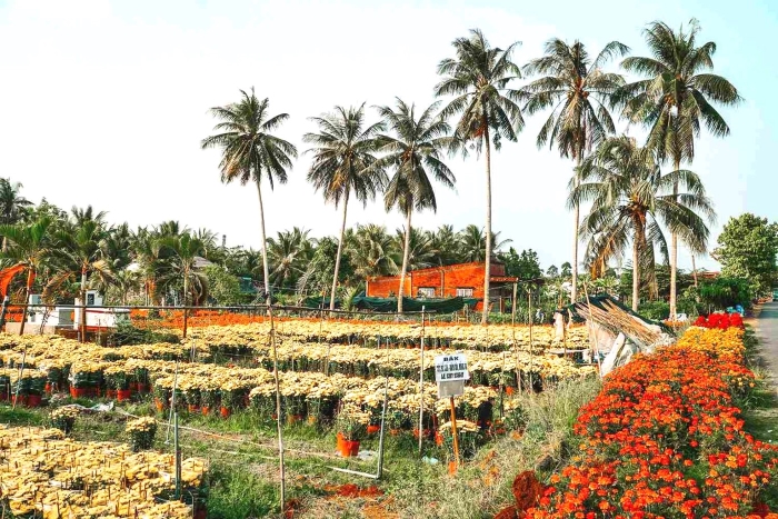 Bến Tre đẩy mạnh hoàn thành mục tiêu xây dựng nông thôn mới năm 2024