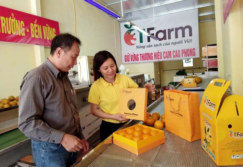 Hòa Bình: Tạo chuyển biến mạnh mẽ, toàn diện trong lĩnh vực nông nghiệp 2