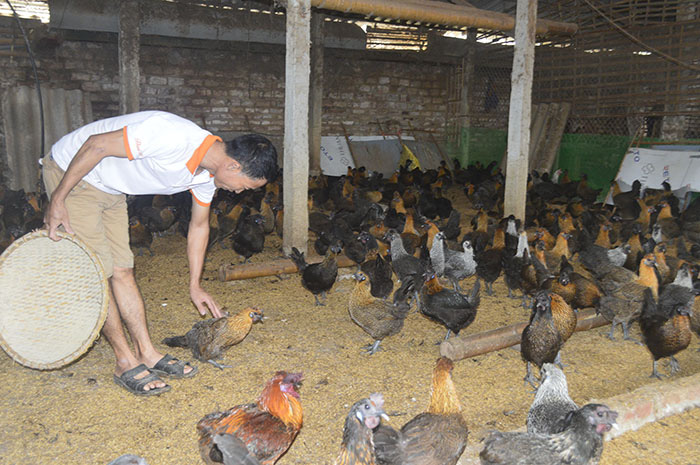 Ngành Tài chính Điện Biên: Vượt khó đảm bảo thu, chi ngân sách 3