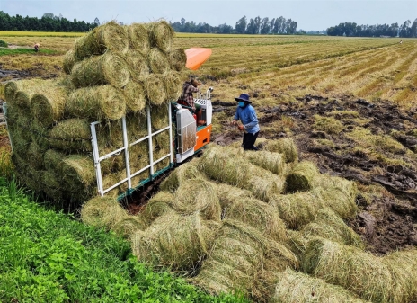Thúc đẩy kinh tế tuần hoàn trong nông nghiệp 1