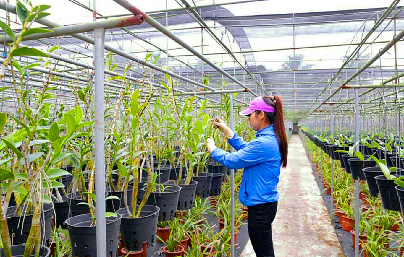 Những thành quả đáng khích lệ trong xây dựng nông thôn mới ở Hòa Bình 1