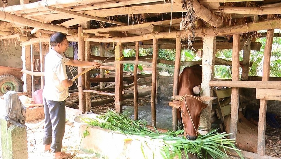 Thái Nguyên: Tín dụng chính sách xã hội đóng góp tích cực vào phát triển kinh kế xã hội và giảm nghèo bền vững 3