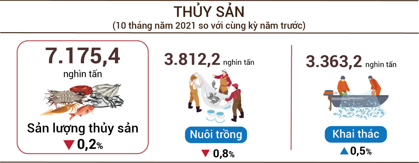 Tình hình kinh tế - xã hội tháng 10 và 10 tháng năm 2021