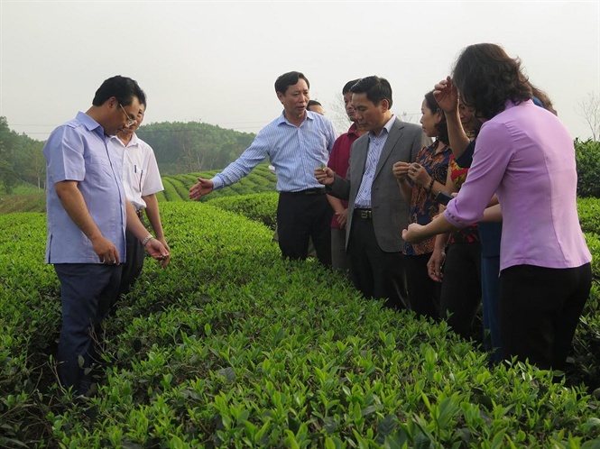 Huyện Đồng Hỷ: Đẩy mạnh đầu tư phát triển kết cấu hạ tầng kinh tế - xã hội đối với vùng đồng bào dân tộc và miền núi 4