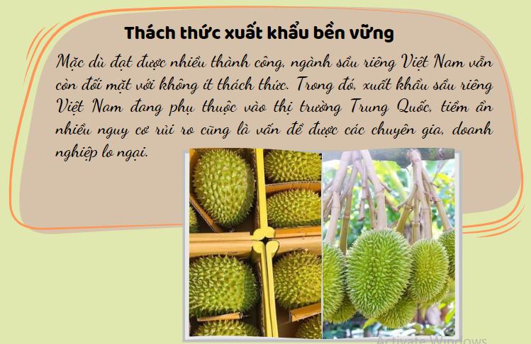 Sầu riêng - ngôi sao nông sản trên con đường xuất khẩu tỷ đô 2
