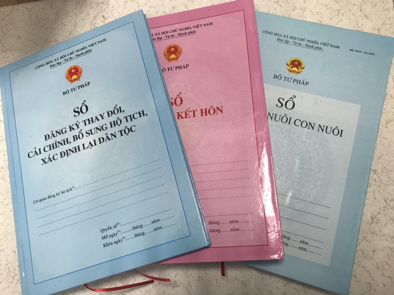 Thực trạng công tác thống kê hộ tịch tại Việt Nam