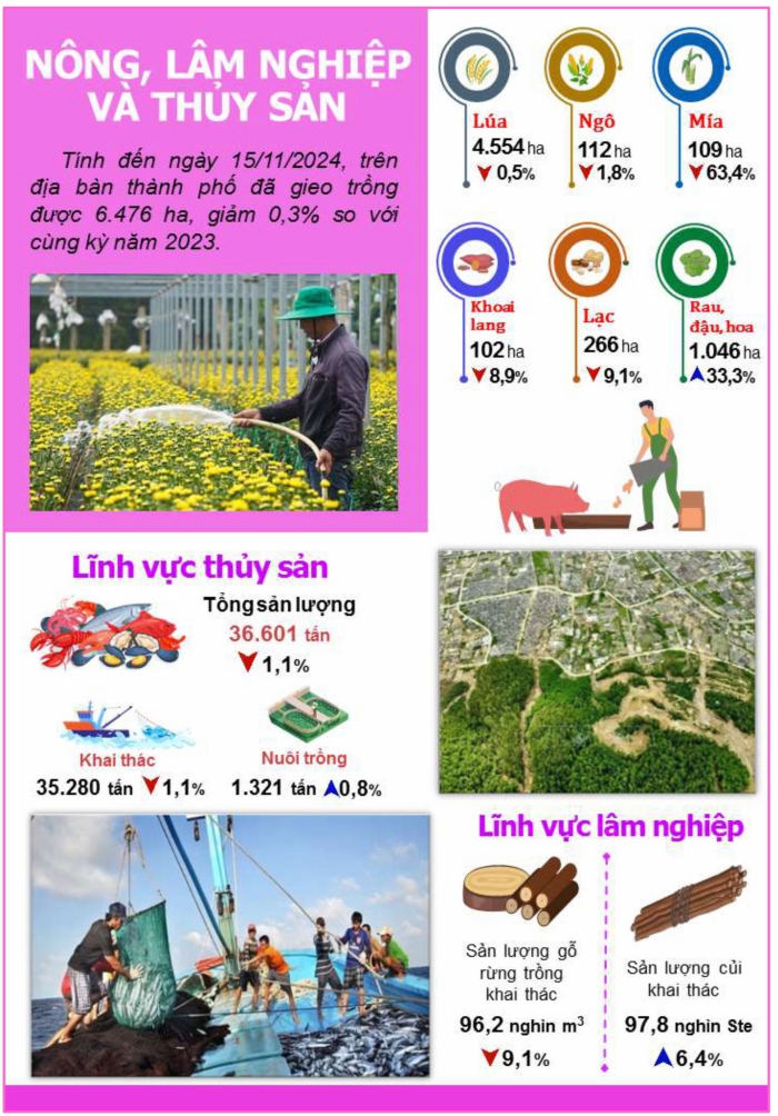 Một số chỉ tiêu kinh tế - xã hội thành phố Đà Nẵng 11 tháng năm 2024 1