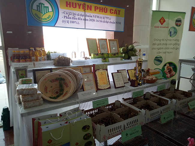 Nông thôn Bình Định qua kết quả điều tra nông thôn, nông nghiệp giữa kỳ năm2020 4
