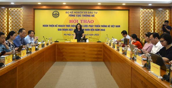 Hội thảo “Hoàn thiện kế hoạch thực hiện Chiến lược phát triển Thống kê Việt Nam giai đoạn 2021-2030, tầm nhìn đến năm 2045” 3