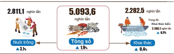 Tình hình kinh tế - xã hội tháng Bảy và 7 tháng năm 2023 14