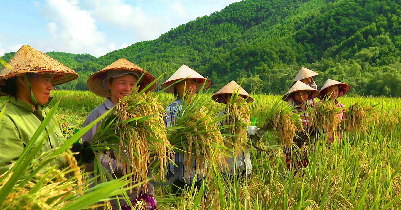 Đổi thay trên quê hương Kim Thượng 1