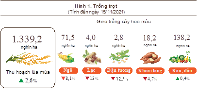 Tình hình kinh tế - xã hội tháng 11 và 11 tháng năm 2021