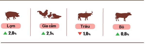 Tình hình kinh tế - xã hội tháng Bảy và 7 tháng năm 2023 13