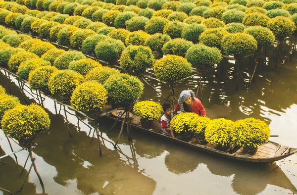 XÂY DỰNG NÔNG THÔN MỚI TẠI ĐỒNG BẰNG SÔNG CỬU LONG VÀ ĐÔNG NAM BỘ: NHIỀU CHUYỂN BIẾN TÍCH CỰC