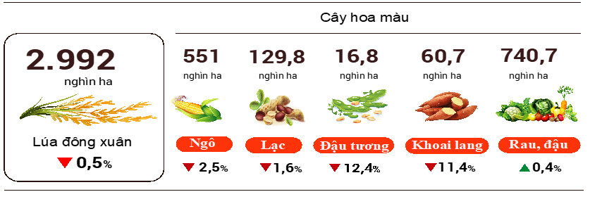 Tình hình kinh tế - xã hội quý II và 6 tháng đầu năm 2022