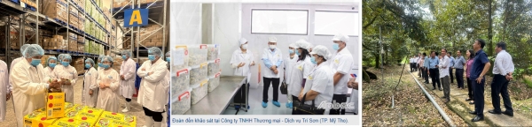 Tổng cục trưởng Nguyễn Thị Hương dự Hội nghị tập huấn, trao đổi về phương pháp tỉnh GRDP tại tỉnh Tiền Giang 5